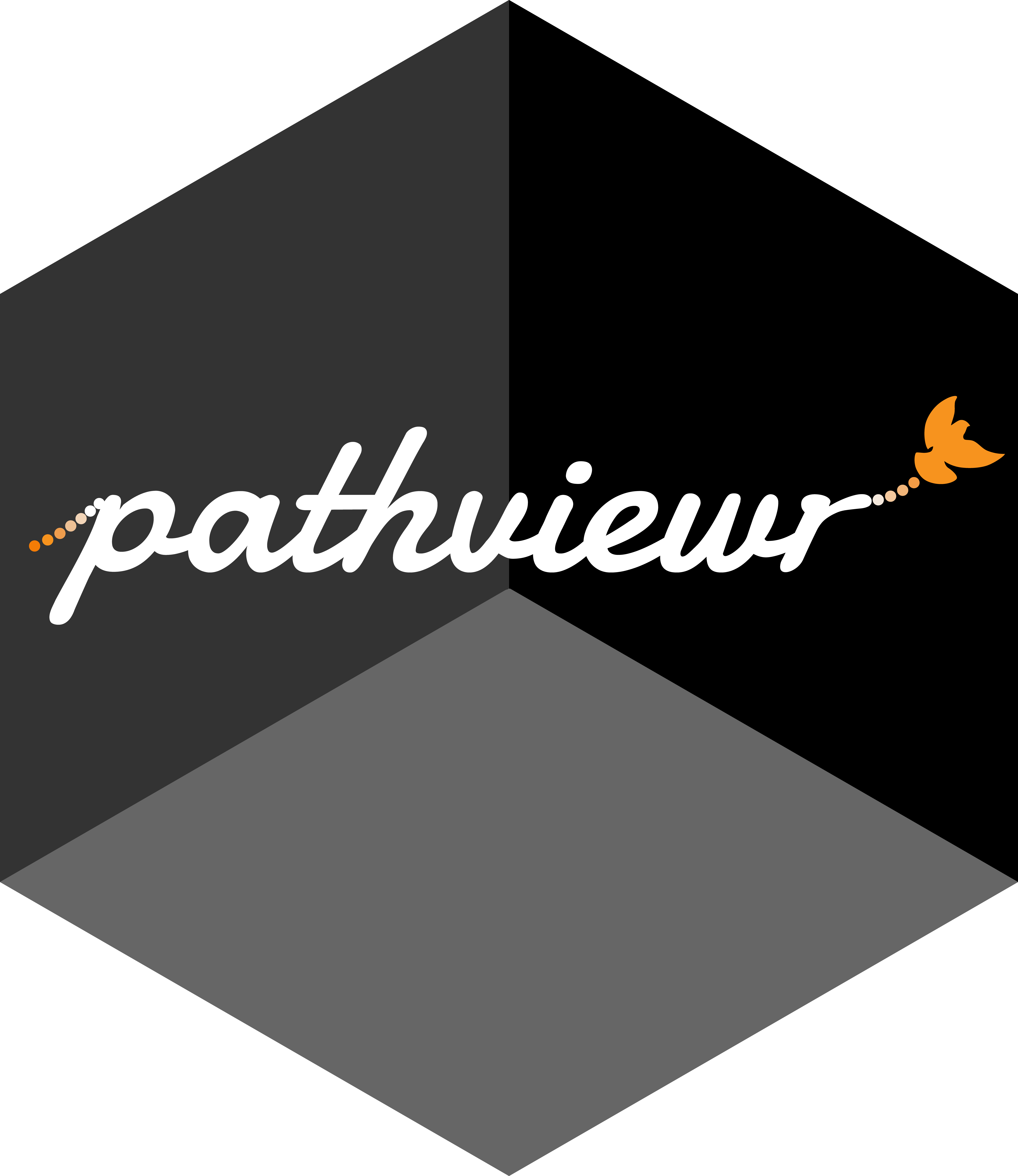 pathviewr r package