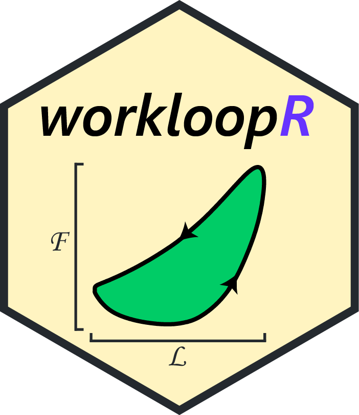 workloopR r package